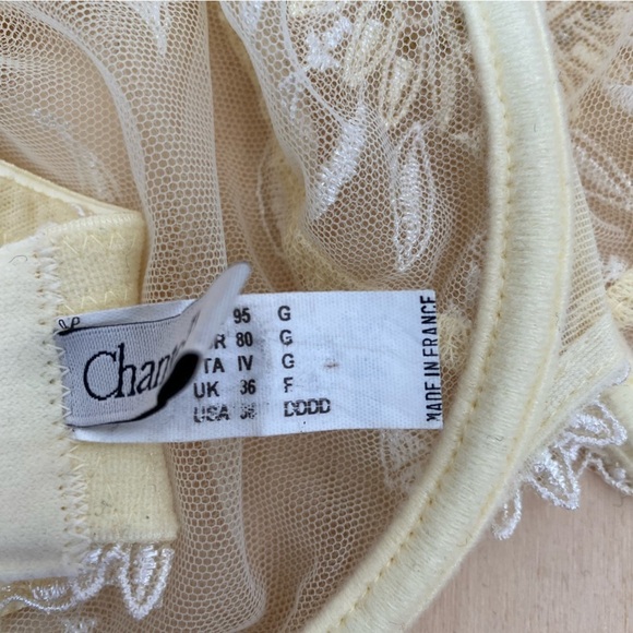 Chantelle "Africa" Seamed Mesh Underwire Bra - Picture 5 of 6